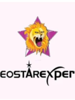 Leostar Expert