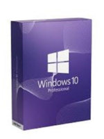 Microsoft Windows 10 Professional 32Bit/64Bit Box